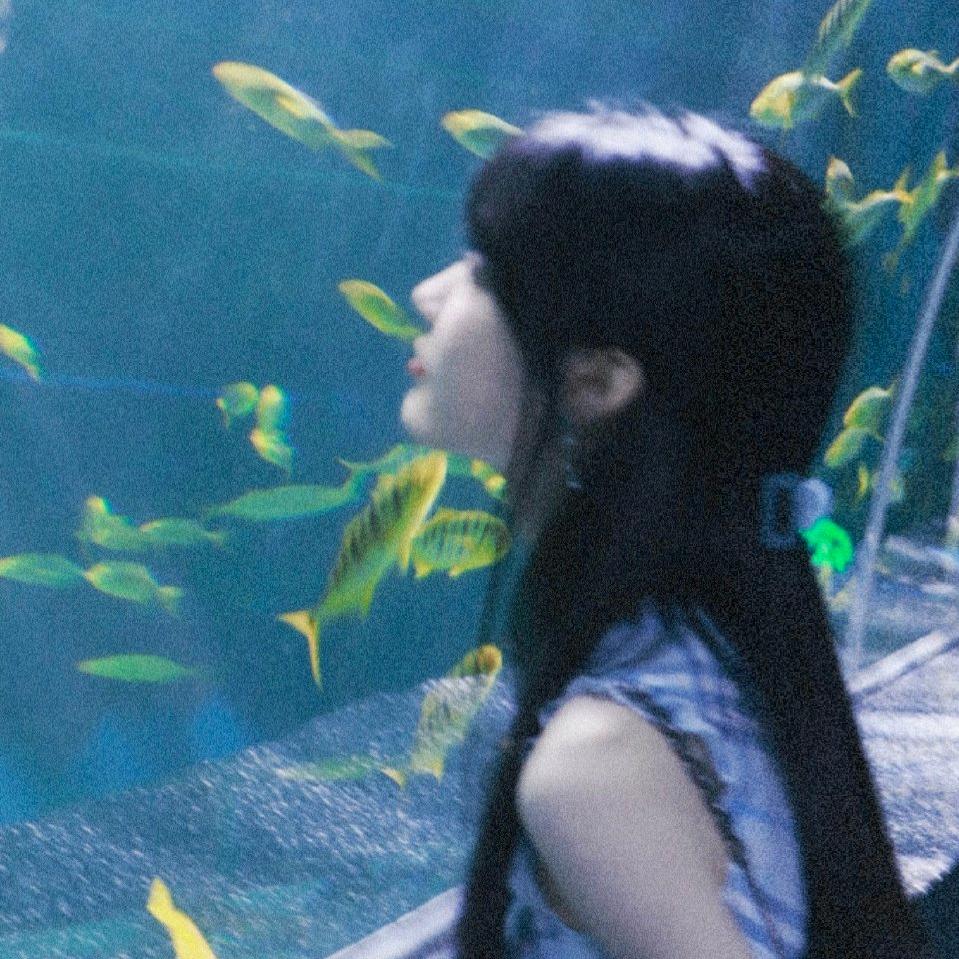Y忆君