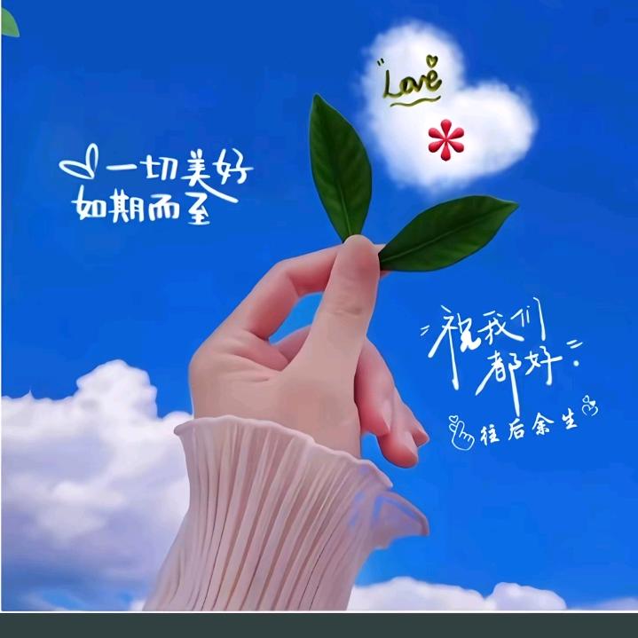 ʅ(◔我就是我◔ ) ʃ╭