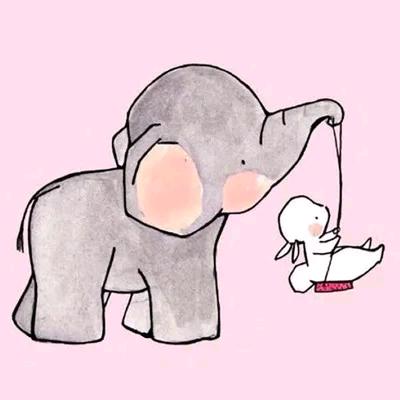 不矮白