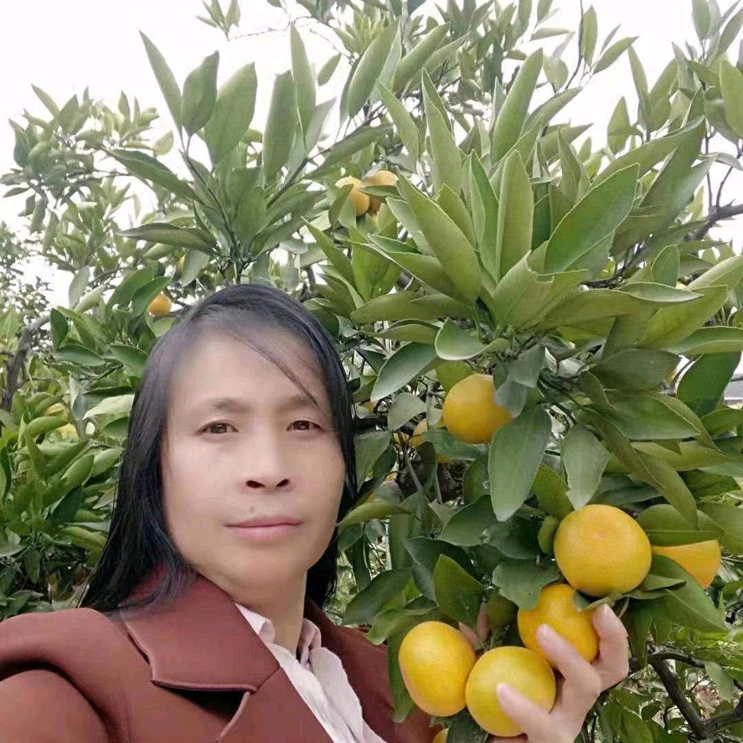 桃花朵朵