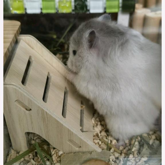 百万的快乐生活