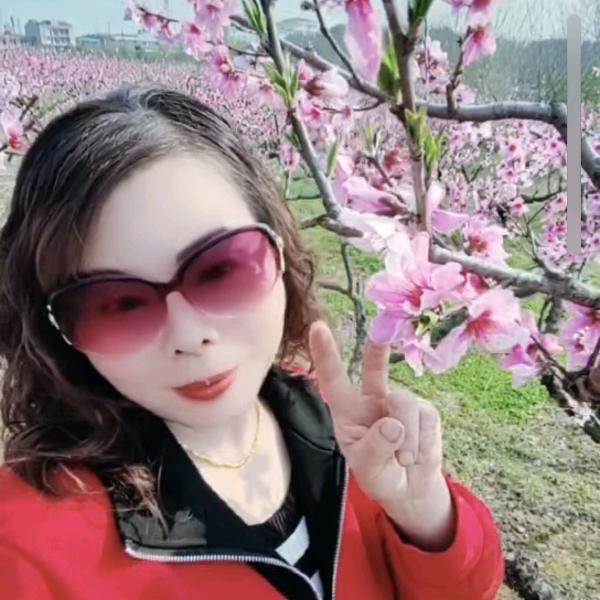 出租车杨司机！