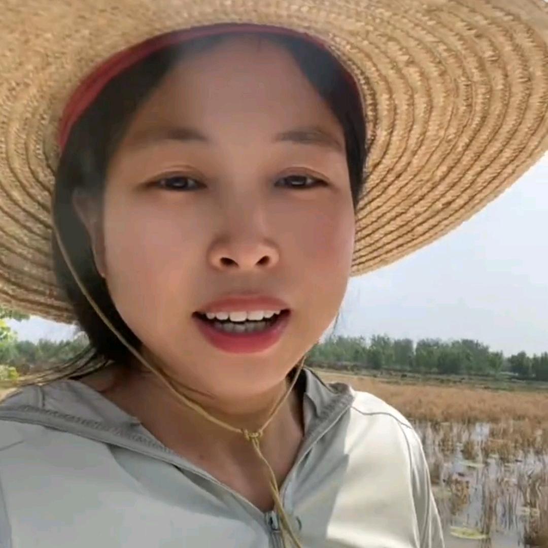 河南苏小妹（鸡头果）