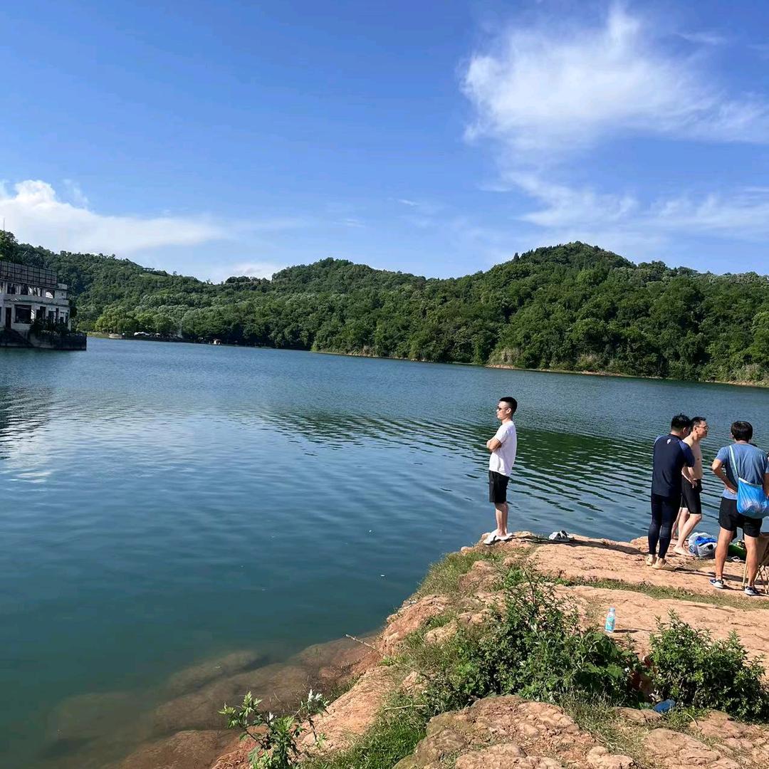 罗屹