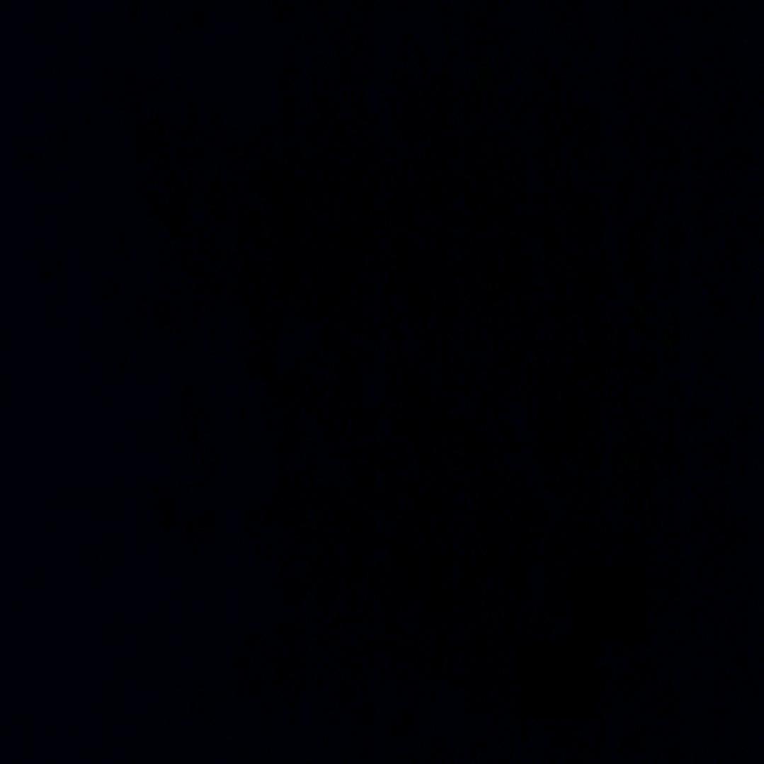 别丢下我