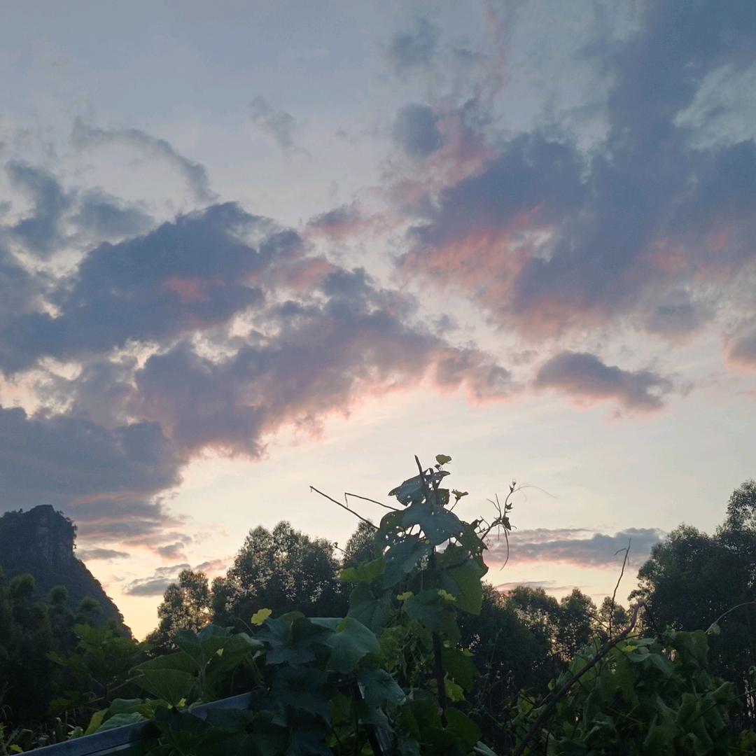 。。。。。。。。。。。