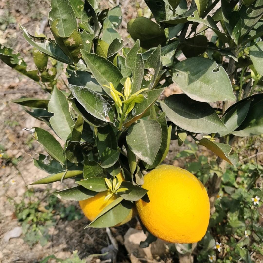 用户7568678150646保持微笑