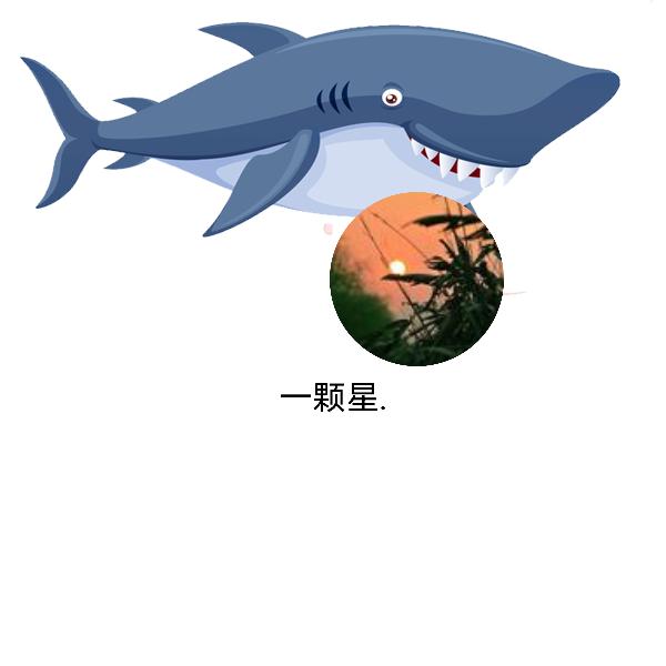 一颗星.