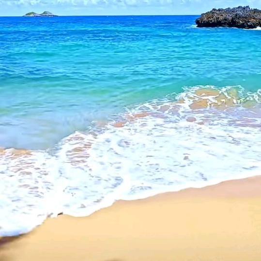 一束光（道阻且长行则将至）