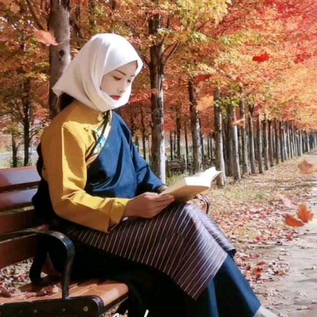 🍁