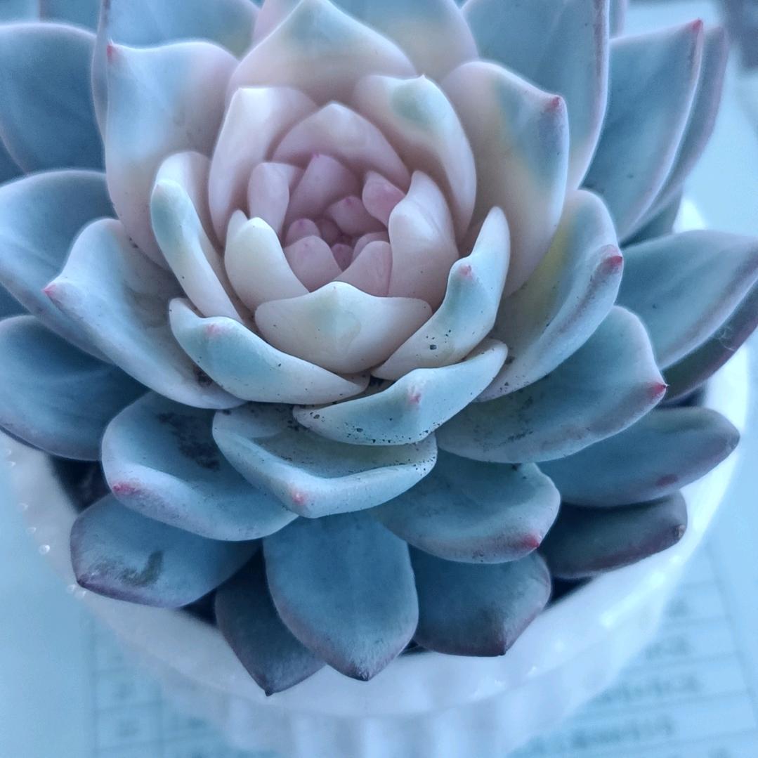 一生有你