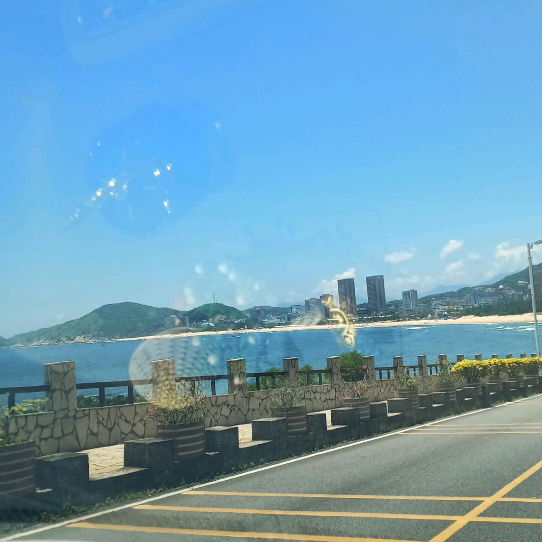 小馋猫