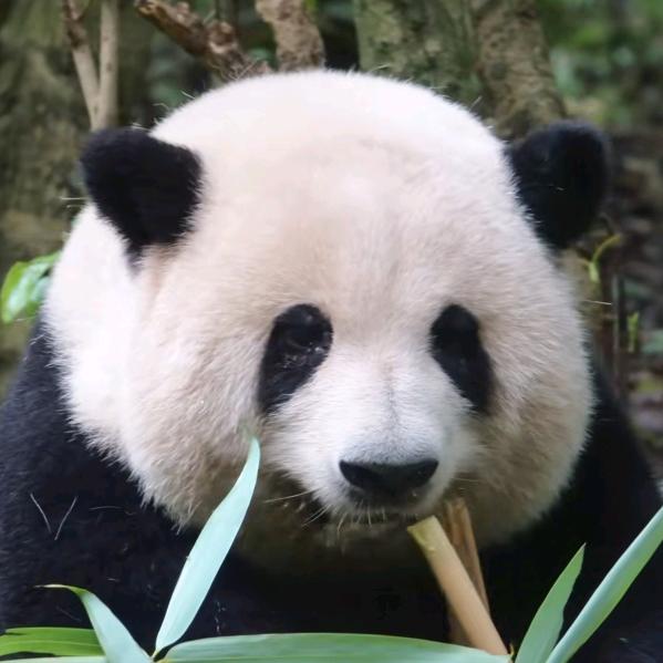 我爱花花（10⁸⁰）