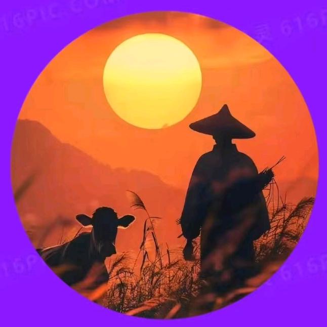 紫色阳光蛇🐍⁰⁵¹¹
