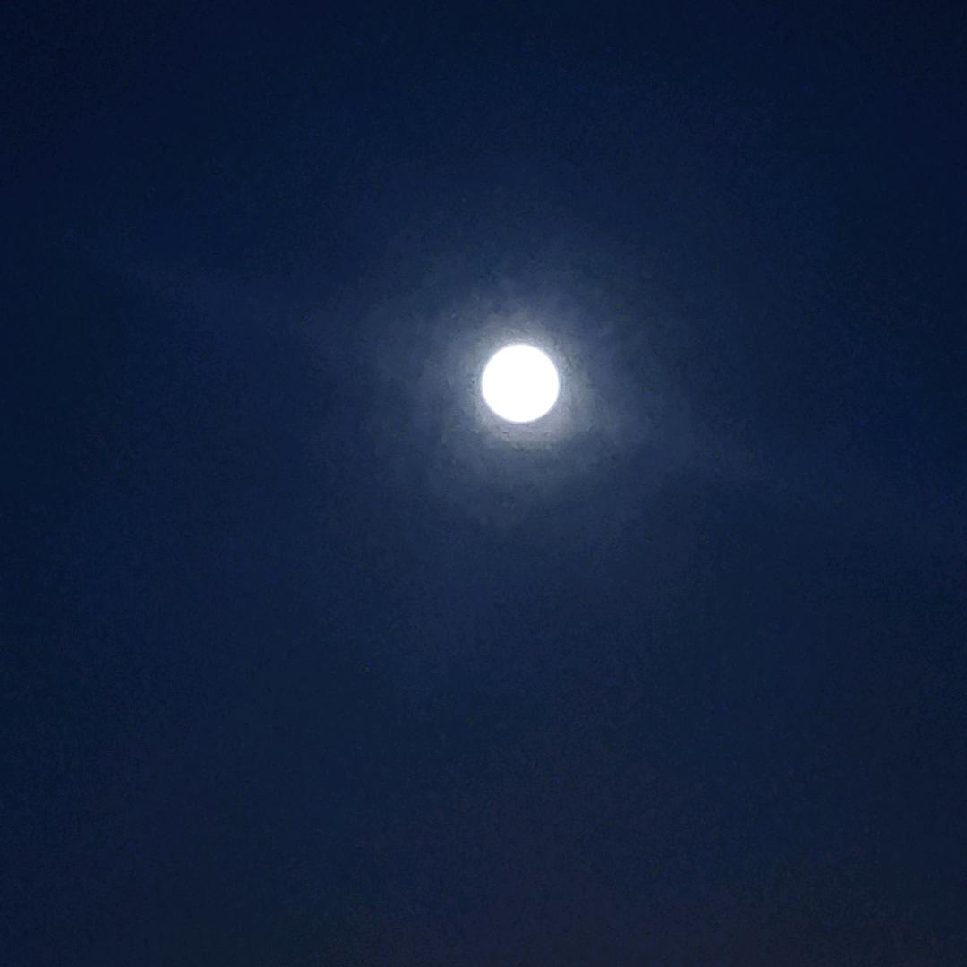 星期日不上发条。
