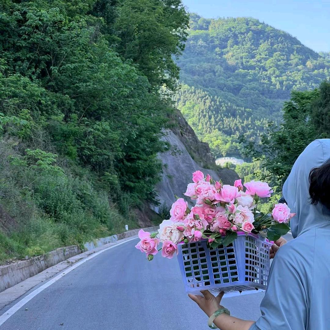 朝阳村的小李子