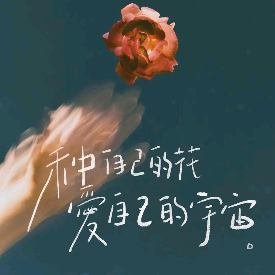 完美国际之又菜又爱玩的兔宝