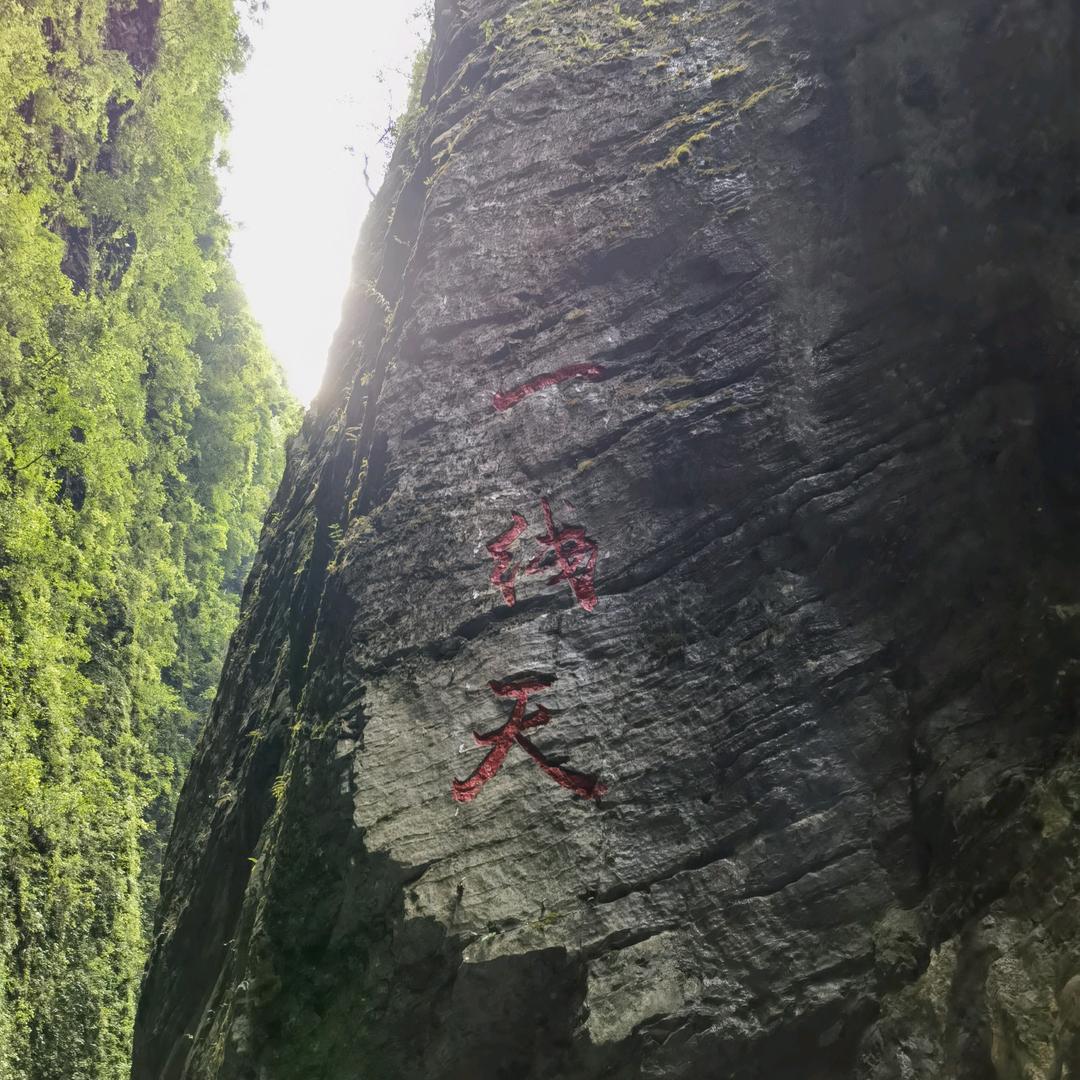刘盼盼