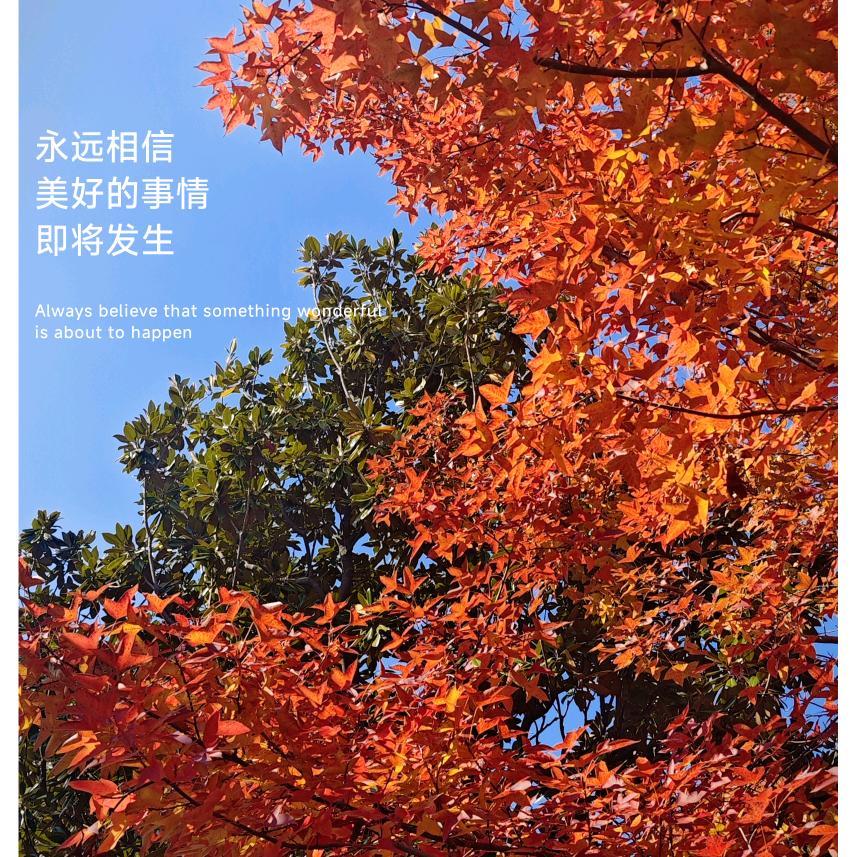 @清风储影