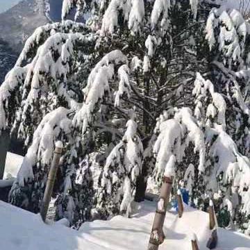 纸音