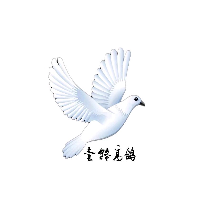 壹路高鸽