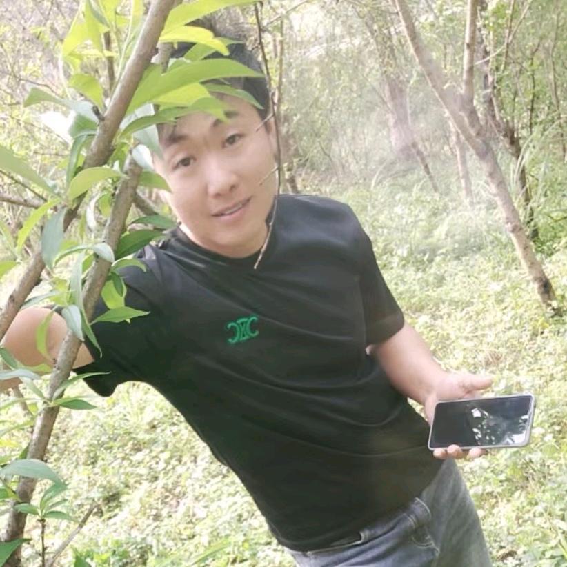 田不甜