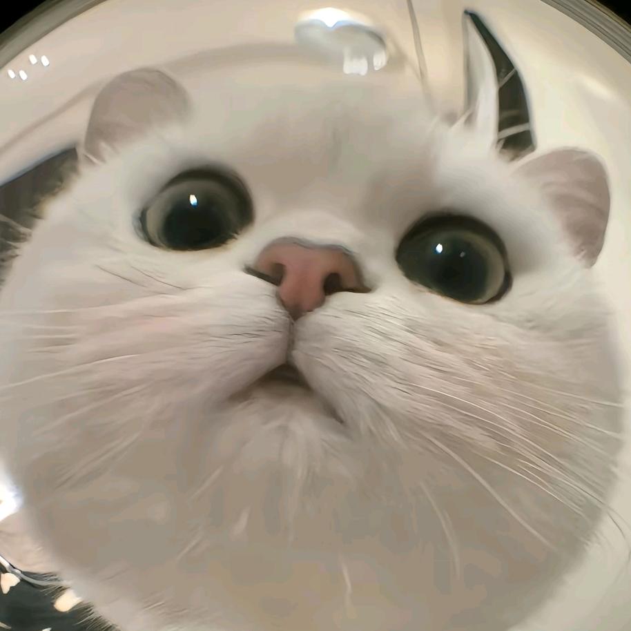 Sockaholic袜了个趣