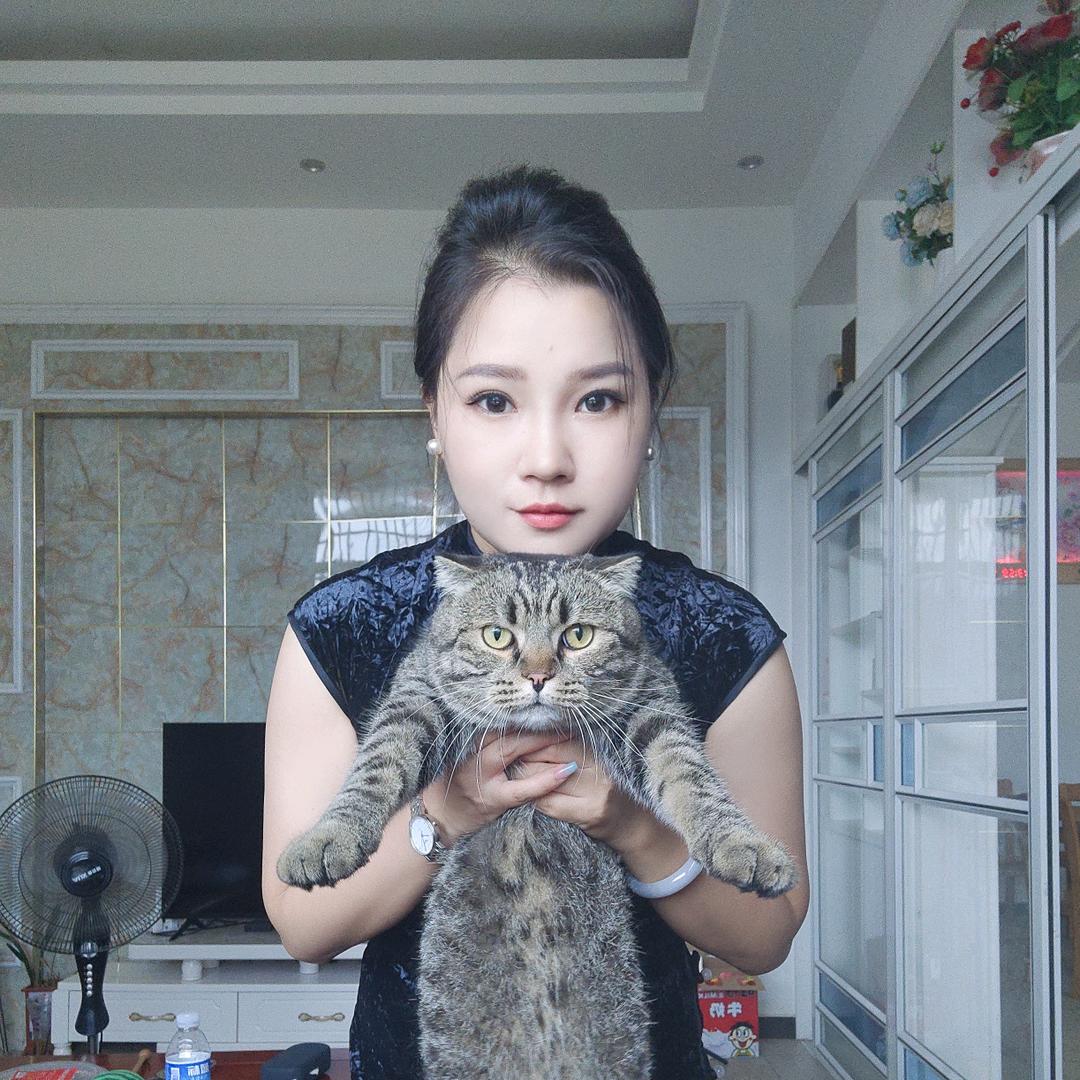 坦克是只猫