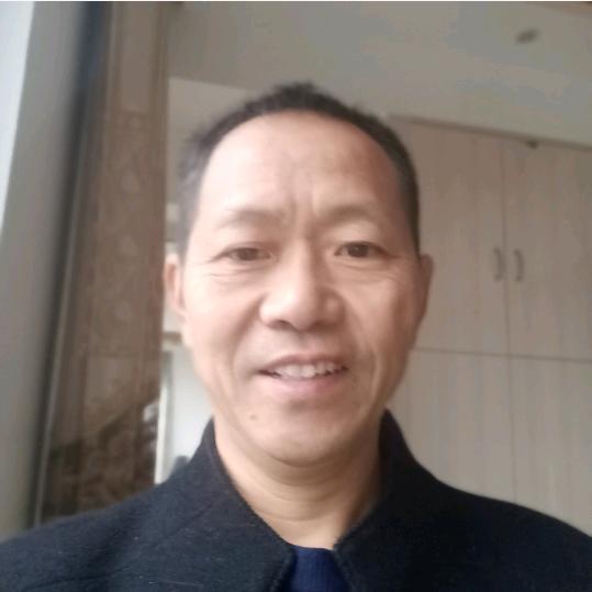 自由自在