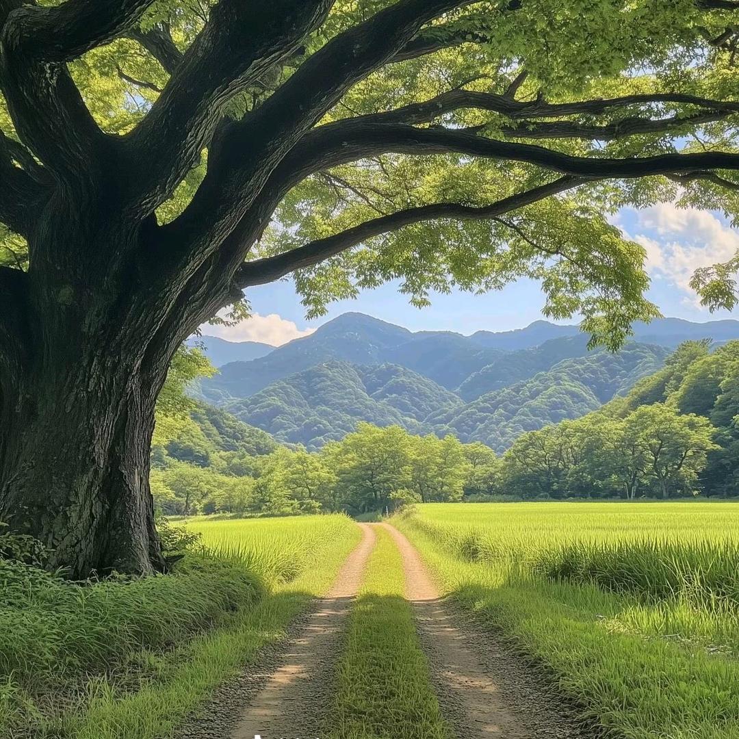 十七(王者变现)