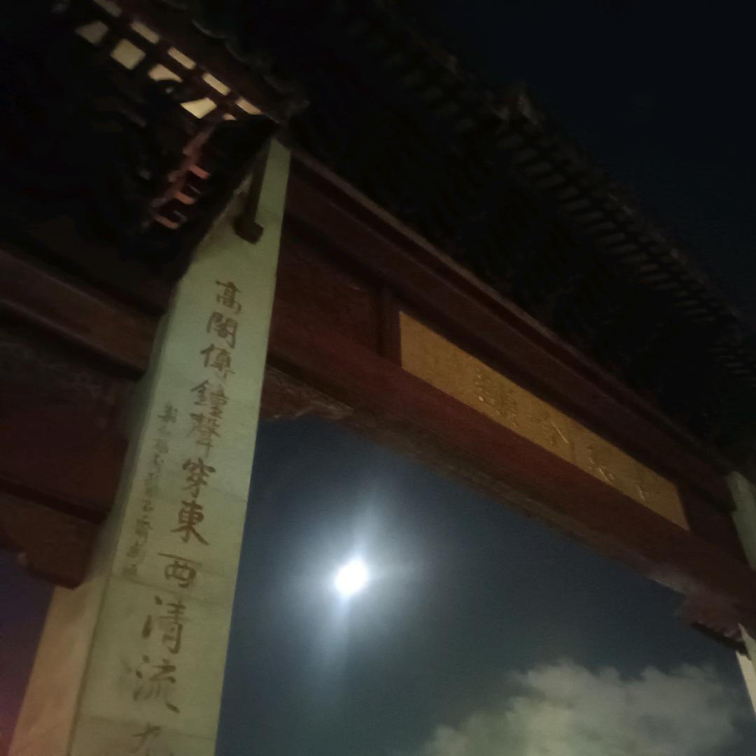 靚猫支持 低调