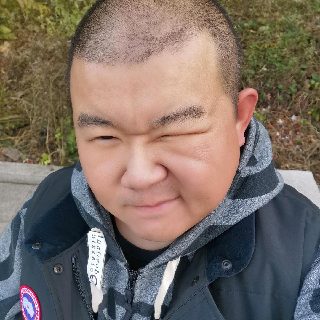 阳光彩虹小白马