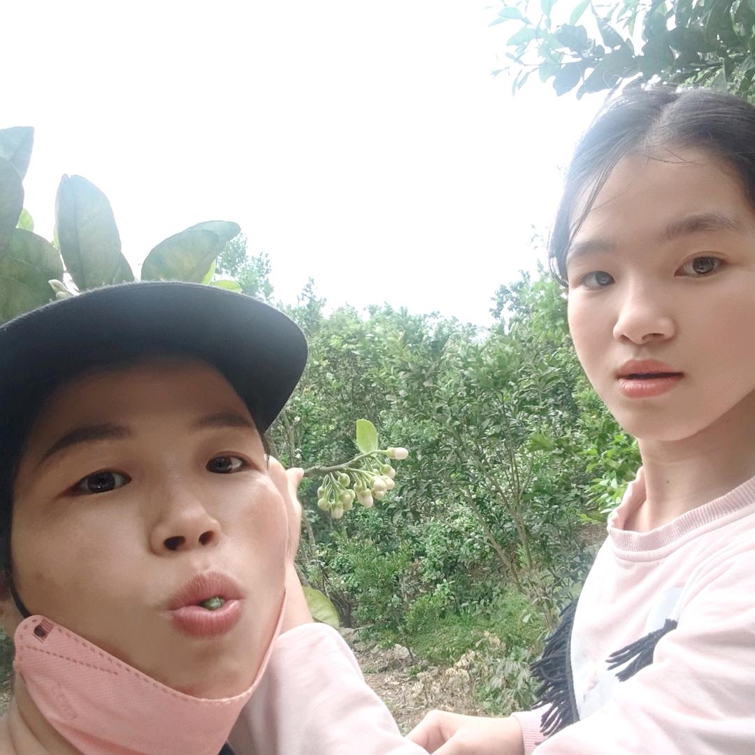 清清河边草