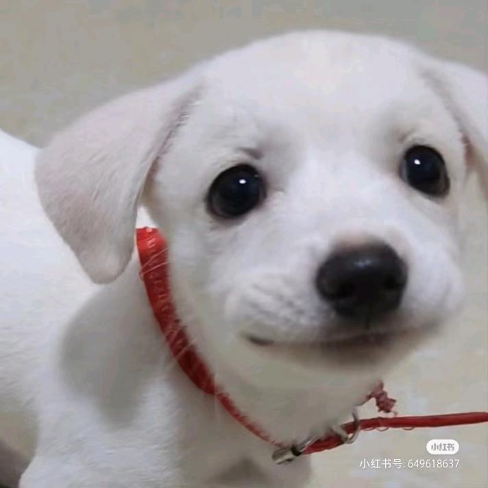 明天我要狠狠锻炼