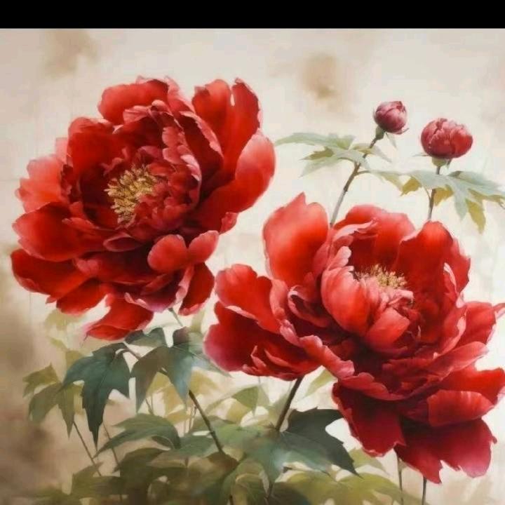 前妻姐🌺
