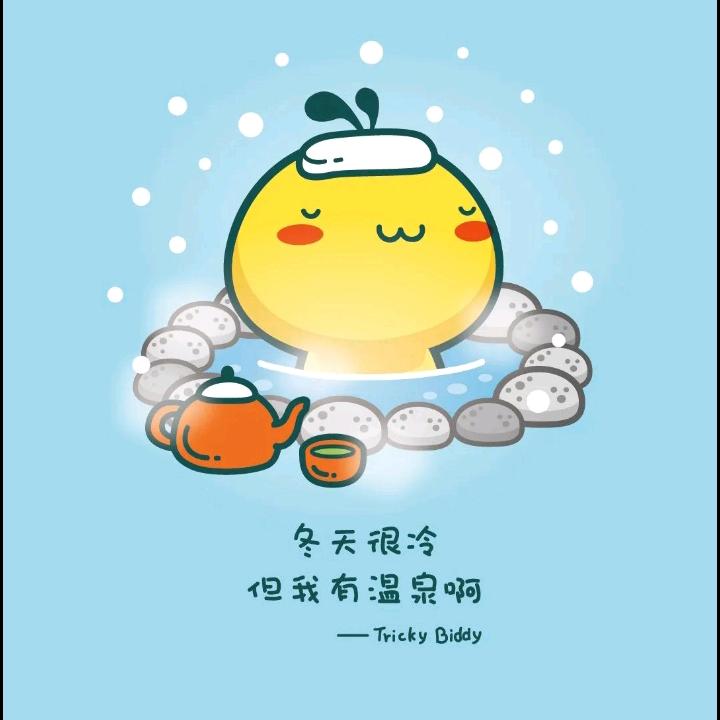 风乐宝仔