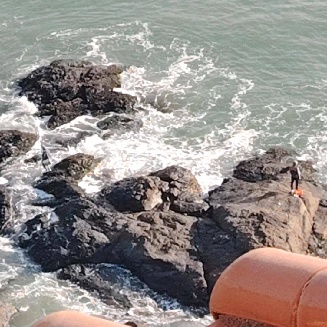 寻道大千小金龙