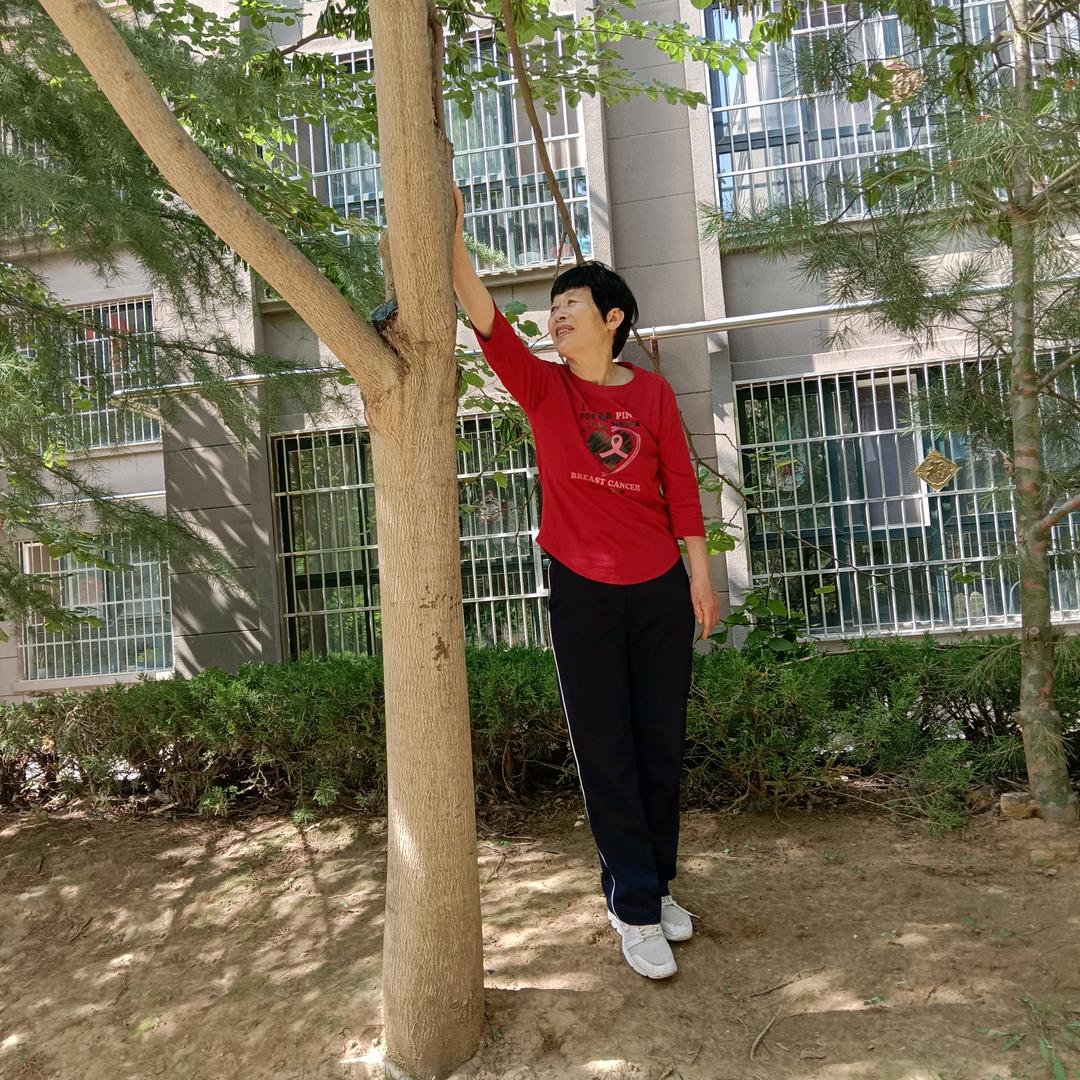 你们的你