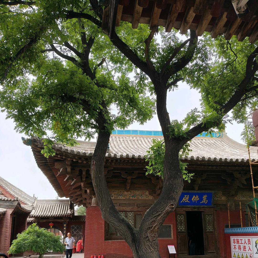 探古达人