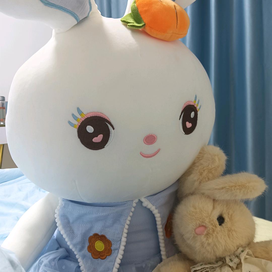 爱看动漫的小姑娘