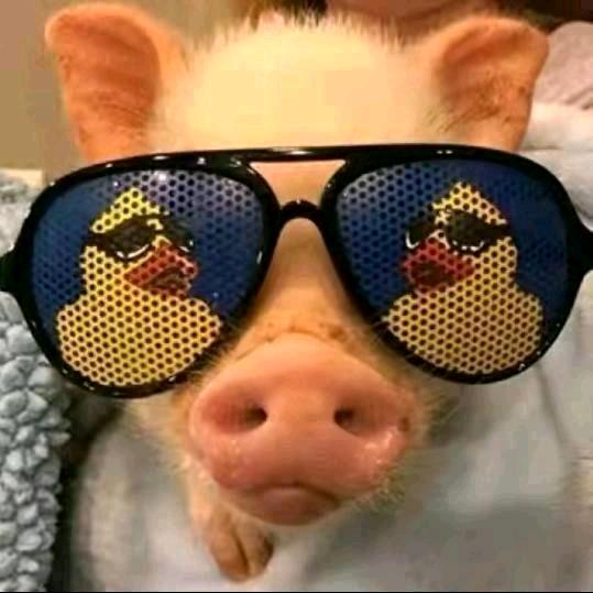 ゛吥爱