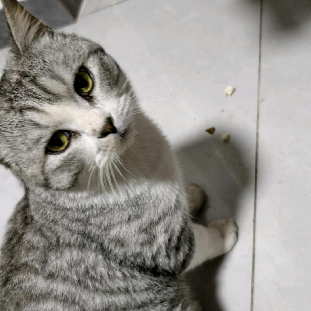 克斯维尔的明天＃43780