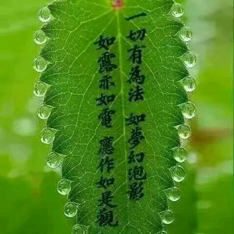 天蝎座♏……