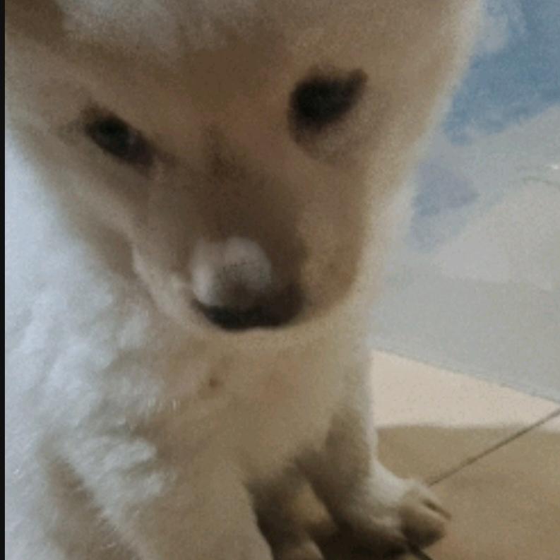 是想加油的晶～