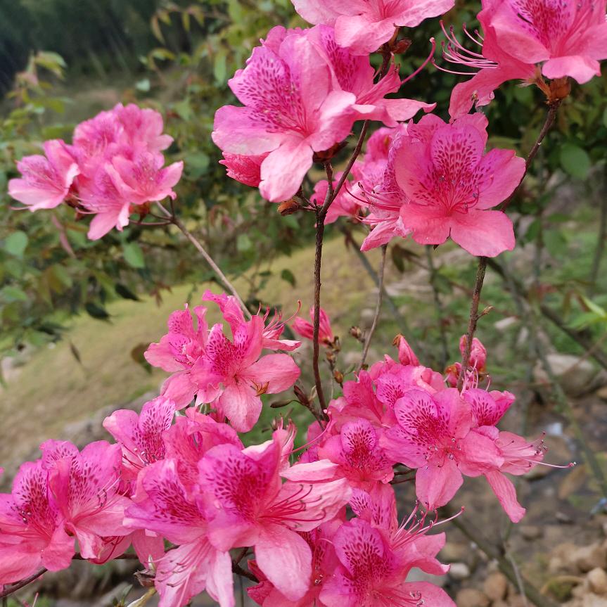 简单的我