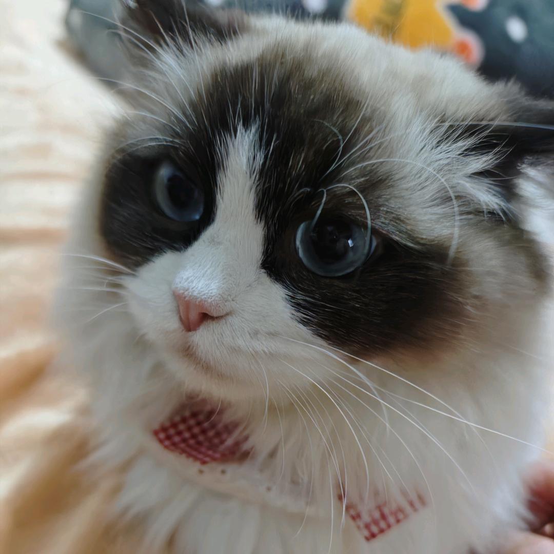 开心快樂💞