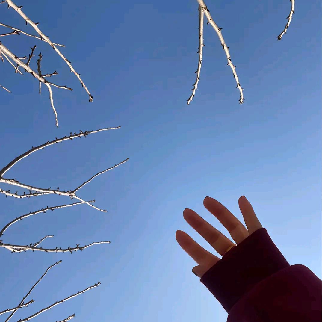 我心微凉~