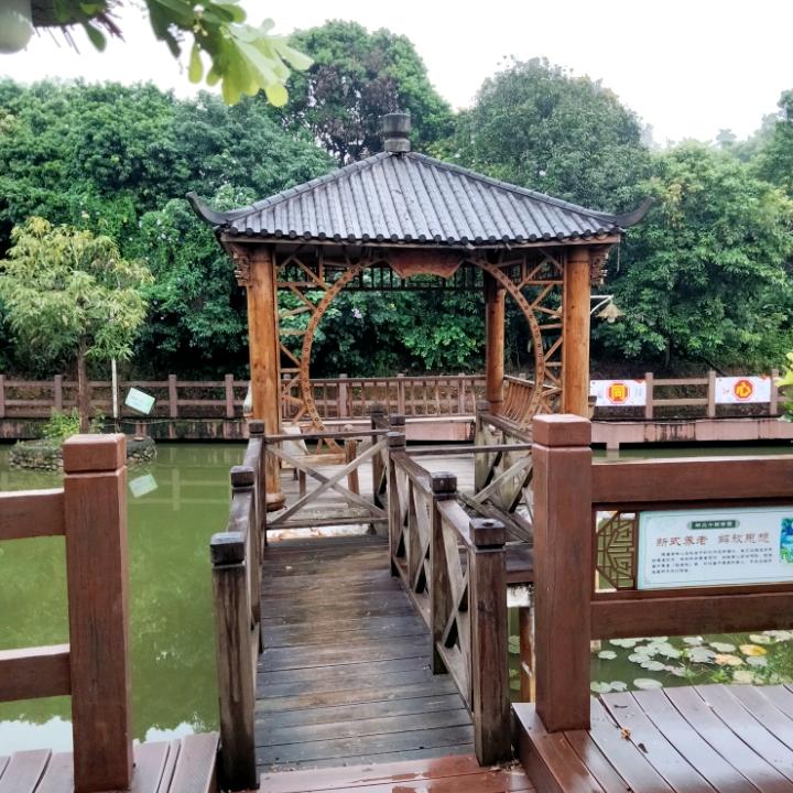 随缘