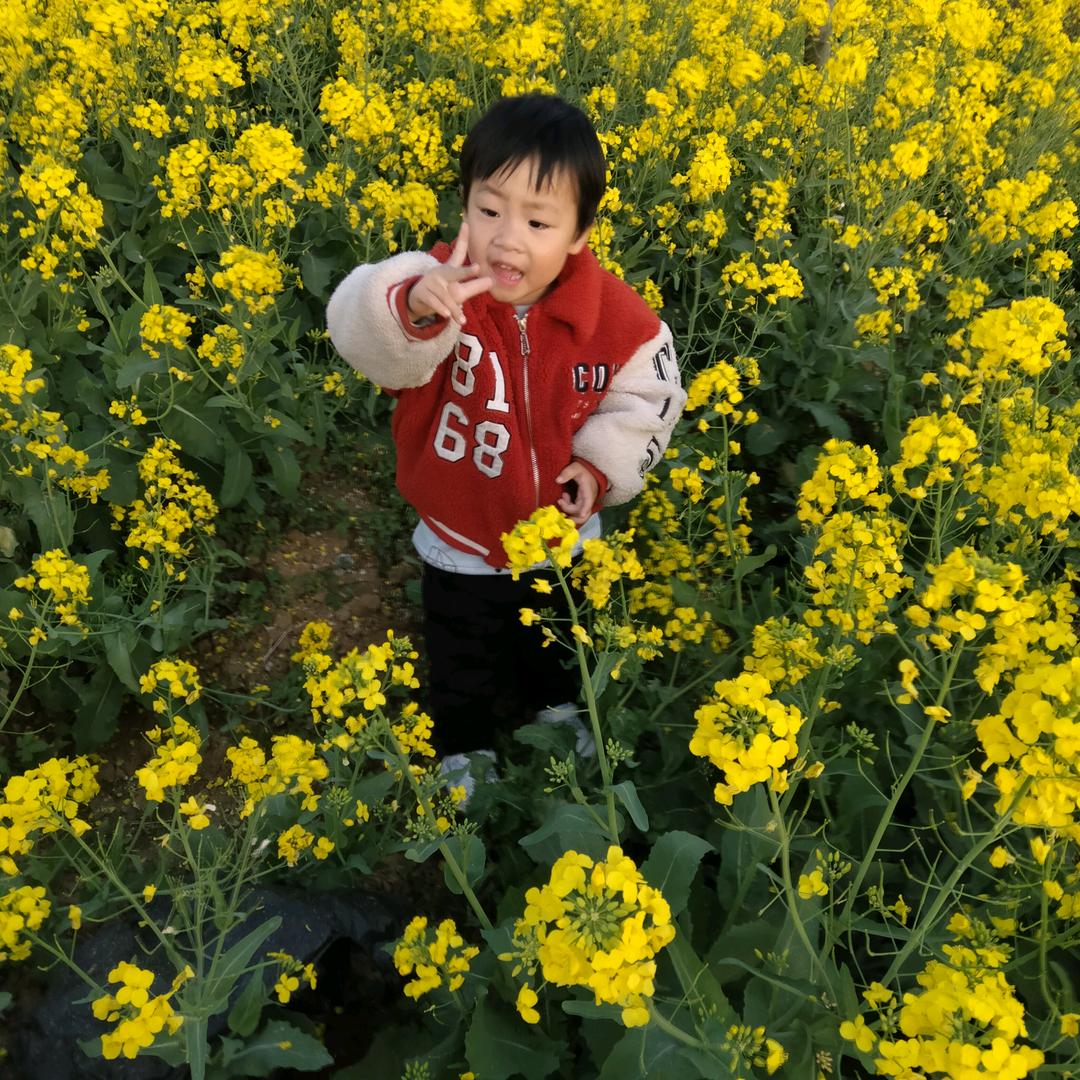 明光市石坝镇台铃电动车