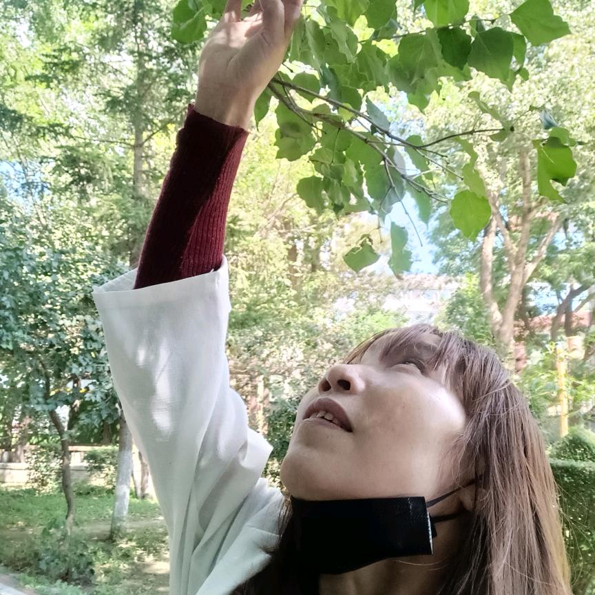 花开一片